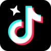 TikTok Pro